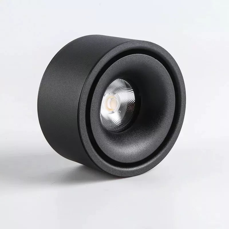 Non-reflective LED Recessed Ceiling Light
