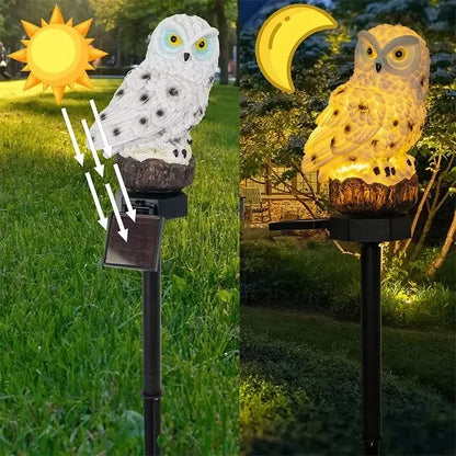 Outdoor Waterproof Solar Lamp