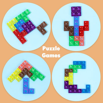 Educational 3D Brain Teaser Puzzle Toy