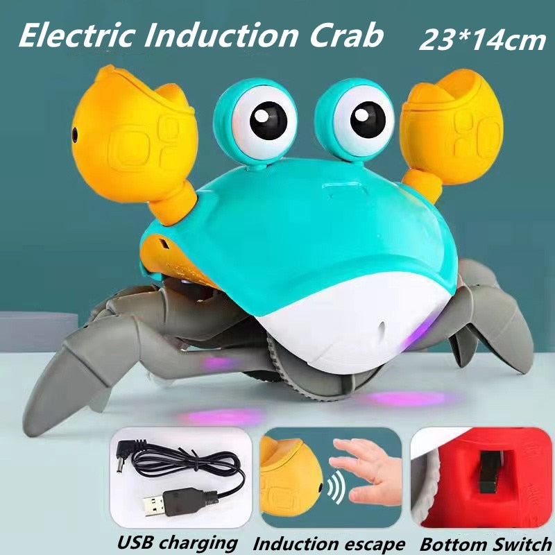 Colorful Kids Octopus Toy Set