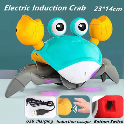 Colorful Kids Octopus Toy Set