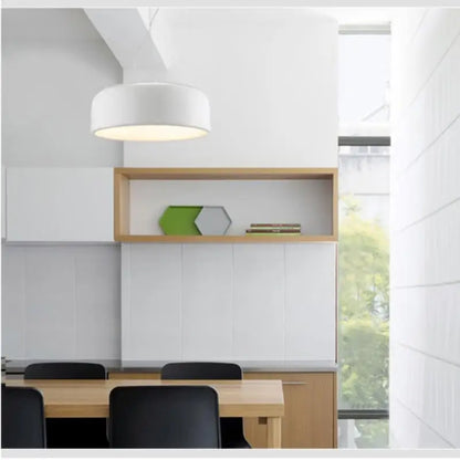 Simple Chic Pendant Ceiling Lamp