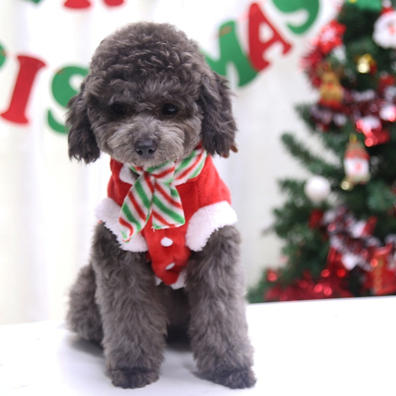 Fun Christmas Pet Outfits - Luxicro