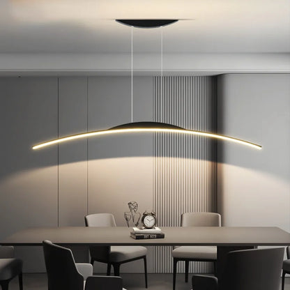 Modern Overhead LED Light Fixture for Home