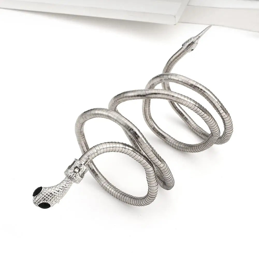 Trendy Snake Chain Double Layer Necklace