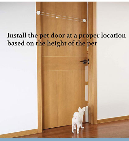Automatic Pet Door Access System