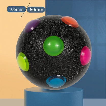 Colorful Interactive Glow Dog Ball Toy