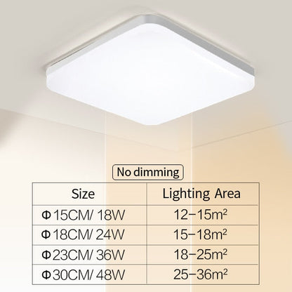 Stylish Home LED Ceiling Light