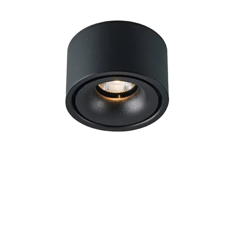 Non-reflective LED Recessed Ceiling Light
