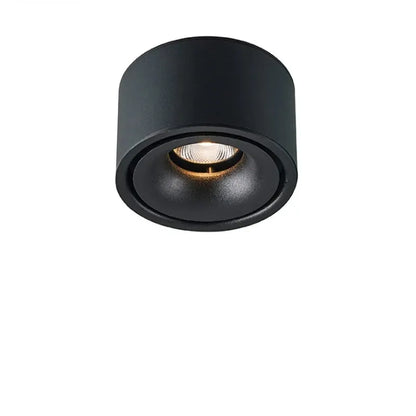 Non-reflective LED Recessed Ceiling Light