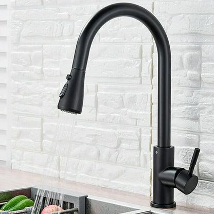 Sleek Black Pull-Down Kitchen Faucet
