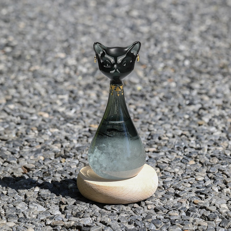 Colorful Cat Shaped Water Bottle