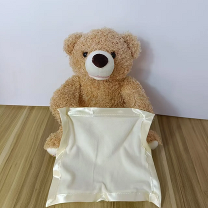 Cuddly Talking Teddy Bear Friend