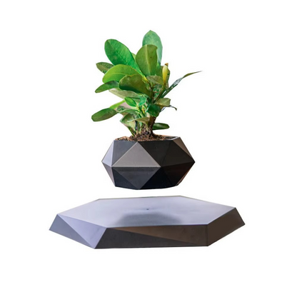 Unique Levitating Planter for Modern Home Decoration