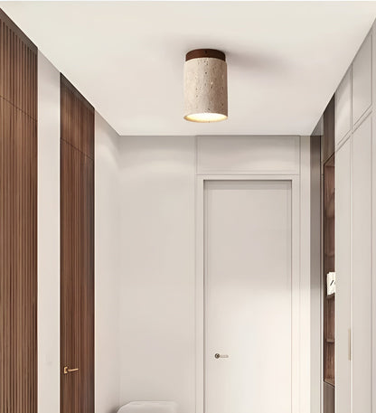 Beautiful Earthy LED Ceiling Lamp