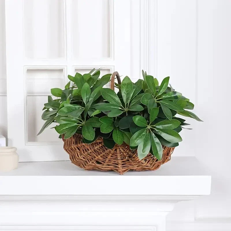 Realistic Indoor Plant with Stem and Leaves