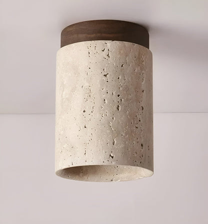 Beautiful Earthy LED Ceiling Lamp
