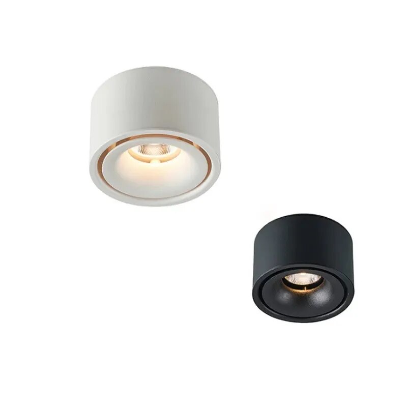 Non-reflective LED Recessed Ceiling Light
