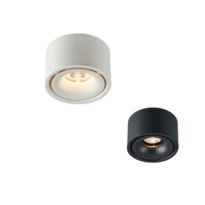 Non-reflective LED Recessed Ceiling Light