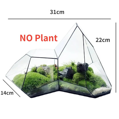 Small Clear Succulent Plant Pot Vase