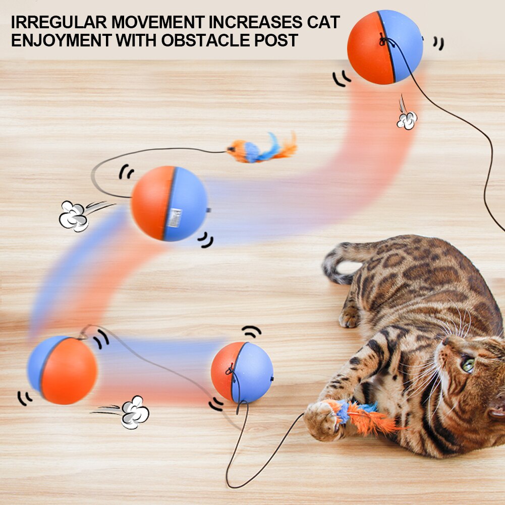 Fun Interactive Motorized Cat Toy Ball