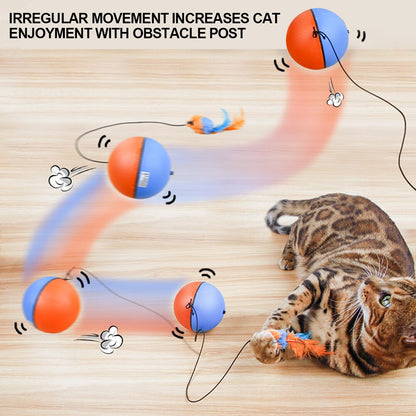 Fun Interactive Motorized Cat Toy Ball