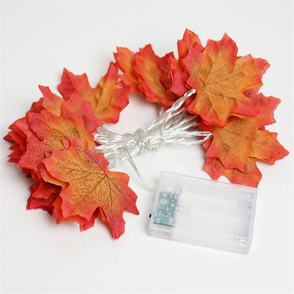 Vibrant Autumn Fairy Light Set