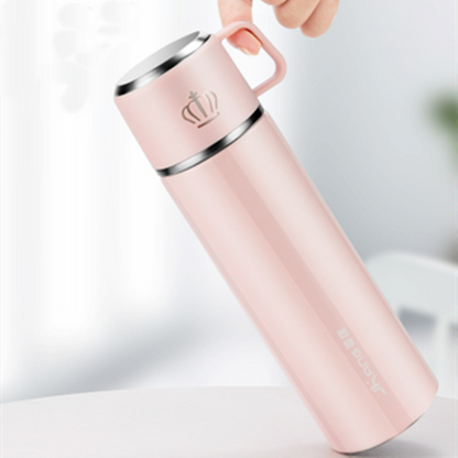 Thermal Insulated Stainless Steel Flask - Luxicro