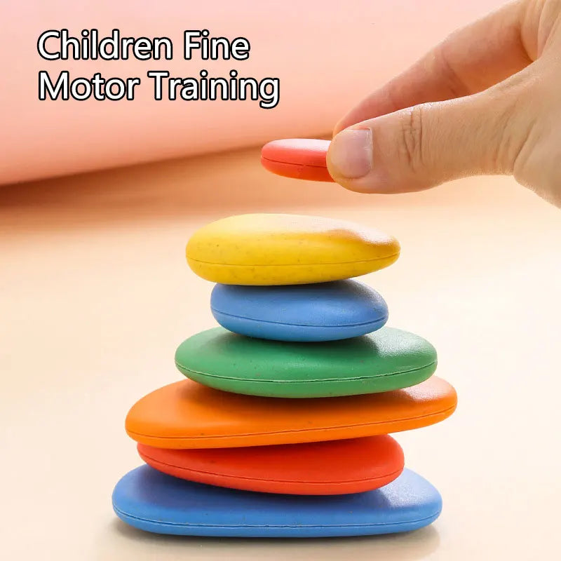 Learning Montessori Color Shape Puzzle Set