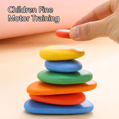 Learning Montessori Color Shape Puzzle Set