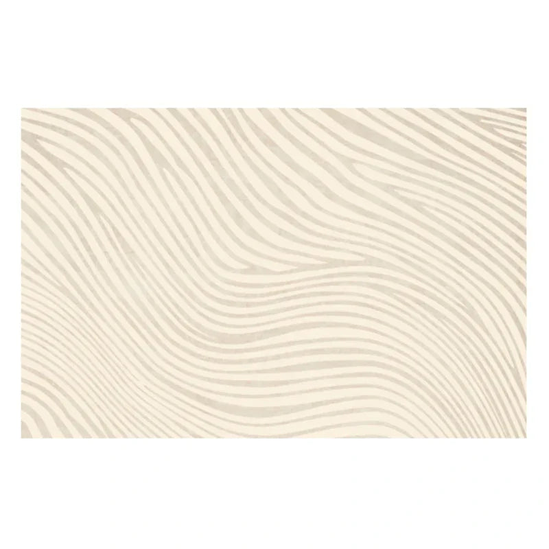 Soft Fuzzy Anti-Slip Area Rug for Home