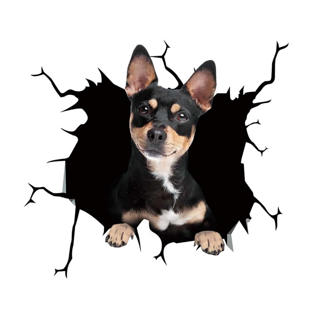 Cool Car Body Vinyl Protective Sticker Skin