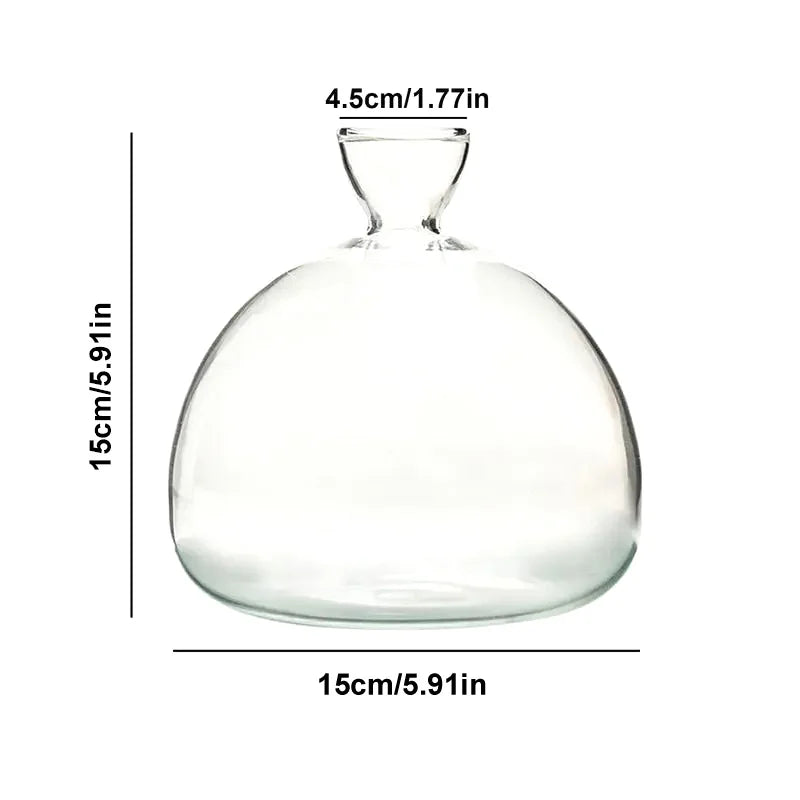 Sleek Transparent Plant Pot Vase