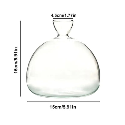 Sleek Transparent Plant Pot Vase