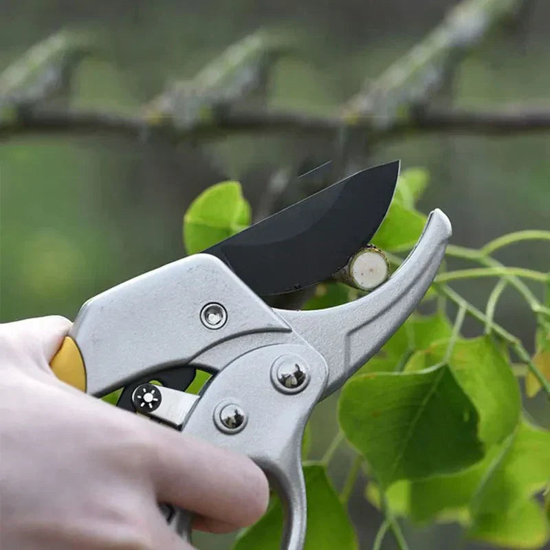 Premium Garden Pruning Hand Clippers