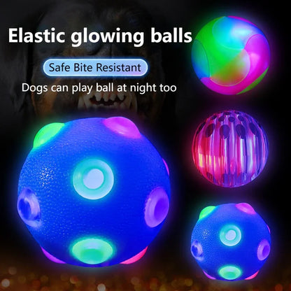 Colorful Interactive Glow Dog Ball Toy