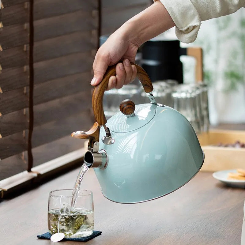 Big Fast Boiling Stainless Steel Kettle