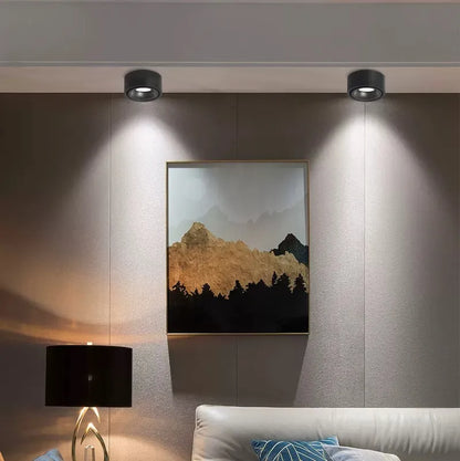 Non-reflective LED Recessed Ceiling Light