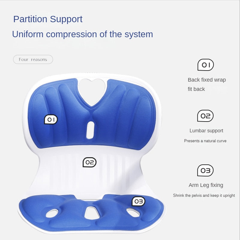 Ergonomic Back Support Posture Correction Cushion