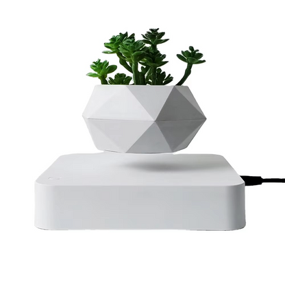 Unique Levitating Planter for Modern Home Decoration - Luxicro
