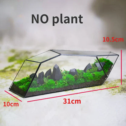 Small Clear Succulent Plant Pot Vase