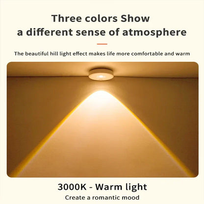 Motion Activated LED Security Light