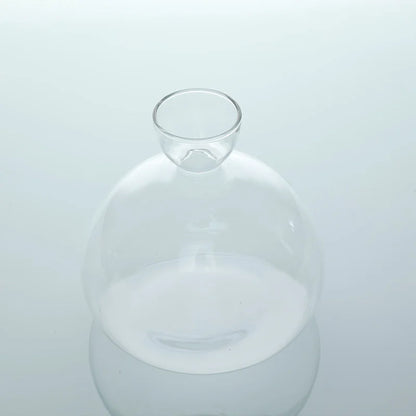 Sleek Transparent Plant Pot Vase