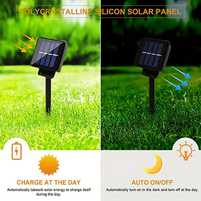 Outdoor Solar Fairy Lights 5m with 20 LED Dragons