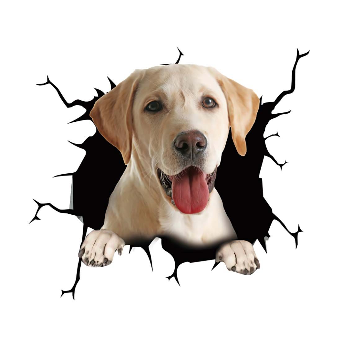 Cool Car Body Vinyl Protective Sticker Skin