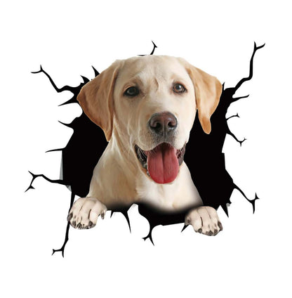 Cool Car Body Vinyl Protective Sticker Skin