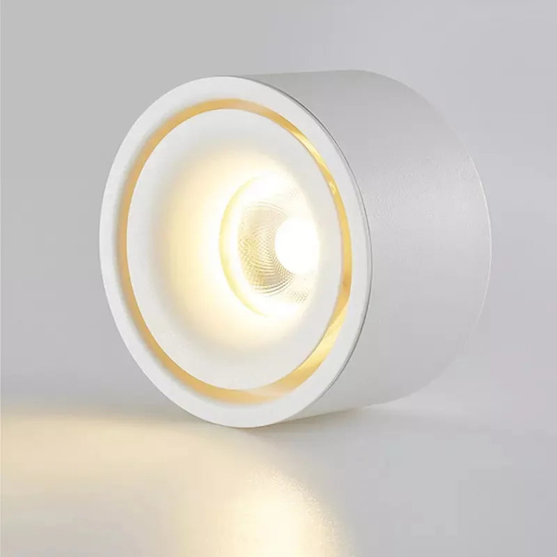 Non-reflective LED Recessed Ceiling Light