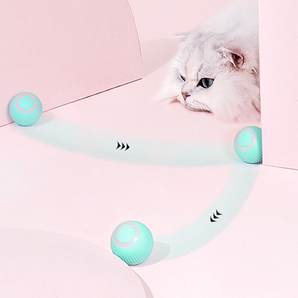 Fun Interactive Pet Robot Ball - Luxicro