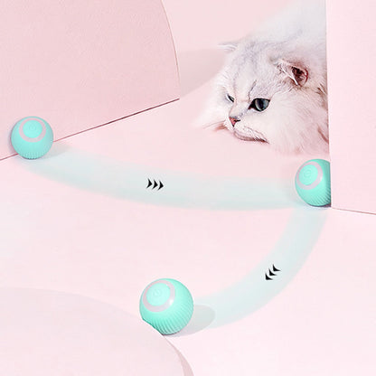 Fun Interactive Pet Robot Ball - Luxicro