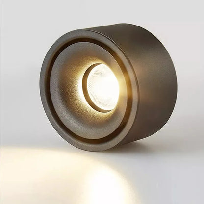 Non-reflective LED Recessed Ceiling Light